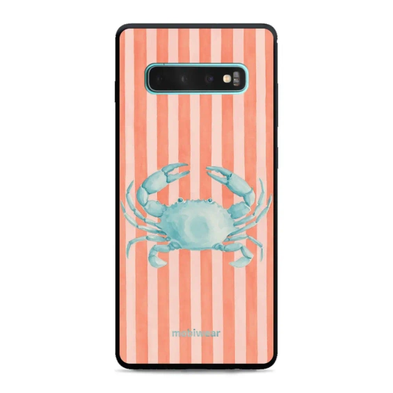 Hülle Glossy Case für Samsung Galaxy S10 Plus - Farbe GP87G