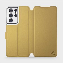 Hülle für Samsung Galaxy S21 Ultra - Farbe Gold&Gray