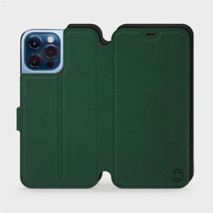 Hülle für Apple iPhone 13 Pro Max - Farbe Grün mit Schwarz