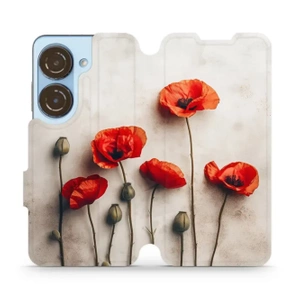 Hülle für Asus Zenfone 10 - Farbe VP42S