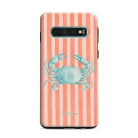 Hülle Elite Pro für Samsung Galaxy S10 Plus - Farbe EP87E