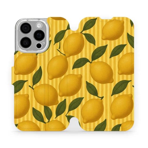 Hülle für Apple iPhone 16 Pro - Farbe VP81S