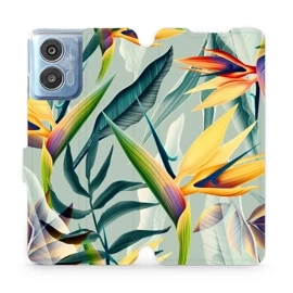 Hülle für Motorola Moto G04 - Farbe MC02S