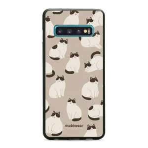 Hülle Glossy Case für Samsung Galaxy S10 - Farbe G160G