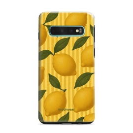 Hülle Elite Pro für Samsung Galaxy S10 Plus - Farbe EP81E