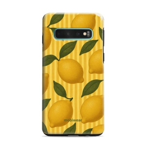 Hülle Elite Pro für Samsung Galaxy S10 Plus - Farbe EP81E