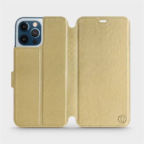 Hülle für Apple iPhone 12 Pro Max - Farbe Gold&Gray