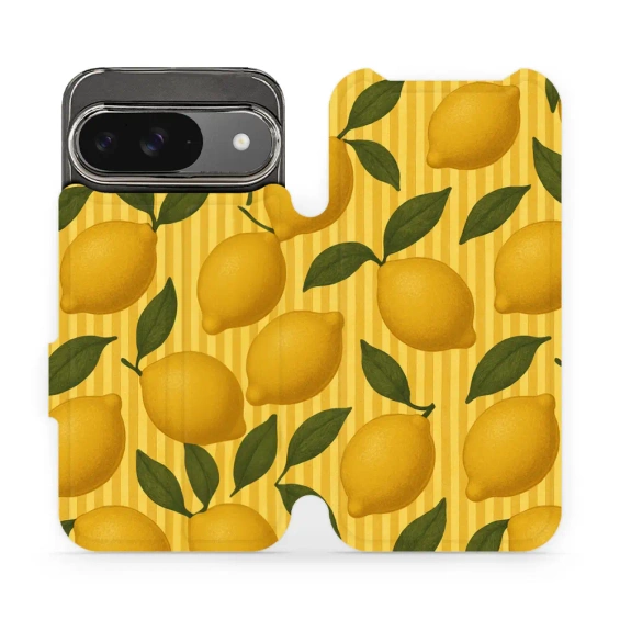 Hülle für Google Pixel 9 - Farbe VP81S