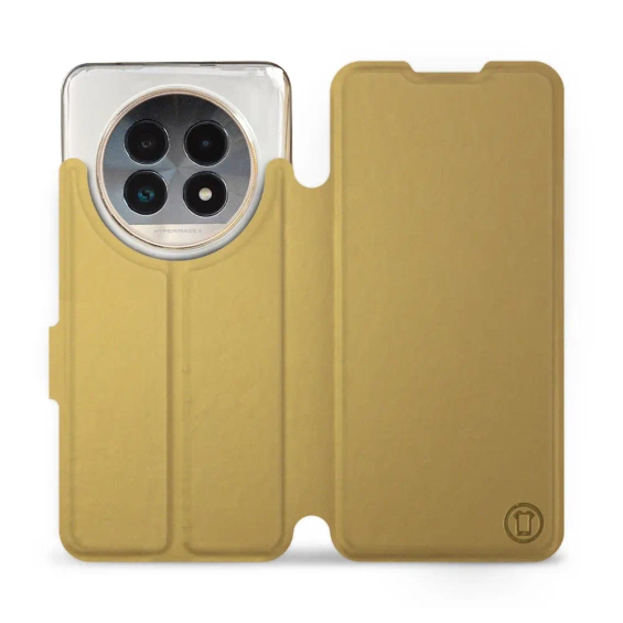 Hülle für Realme 13 Pro - Farbe Gold&Gray