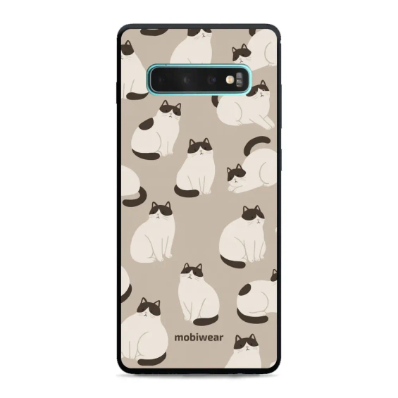 Hülle Glossy Case für Samsung Galaxy S10 Plus - Farbe G160G